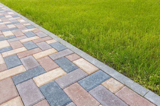 Best Driveway Repair Near Me  in Belvedere, CA